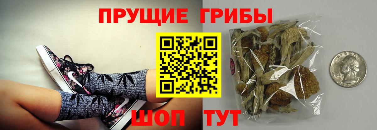 Галлюциногенные грибы ЛСД  Вход с VPN  Котлас  Галлюциногенные грибы Psilocybine cubensis 